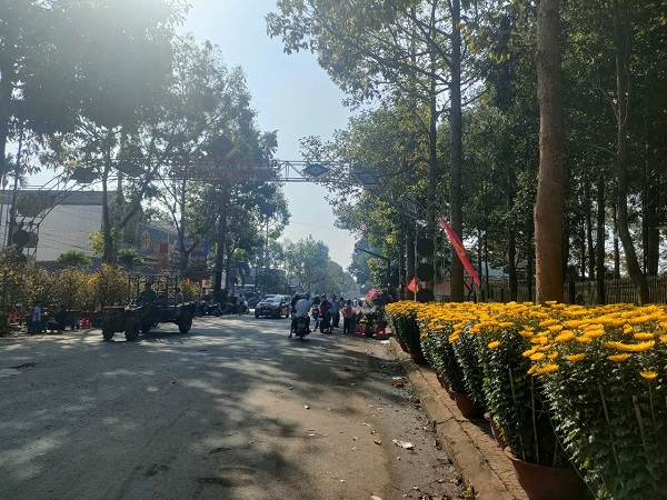 ANH TET 14